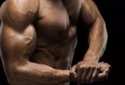 Dicas de treino para bíceps de impressionar 