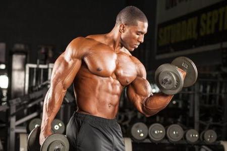 Dicas de treino para bíceps
