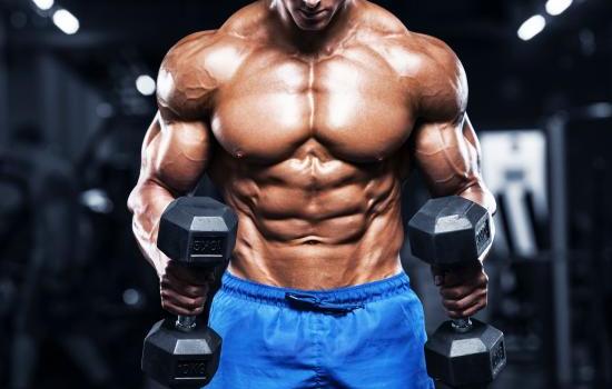 7 dicas para ganhar massa muscular em pouco tempo