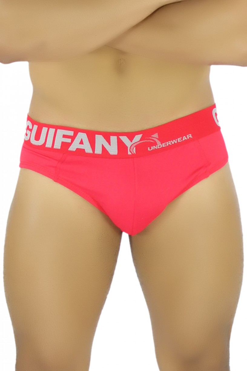 Cueca Slip Guifany Lisa