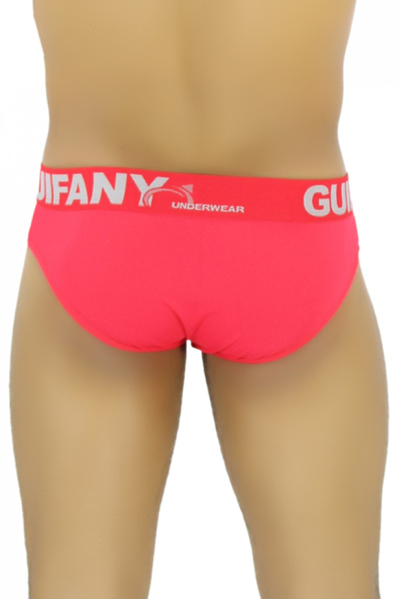 Cueca Slip Guifany Lisa