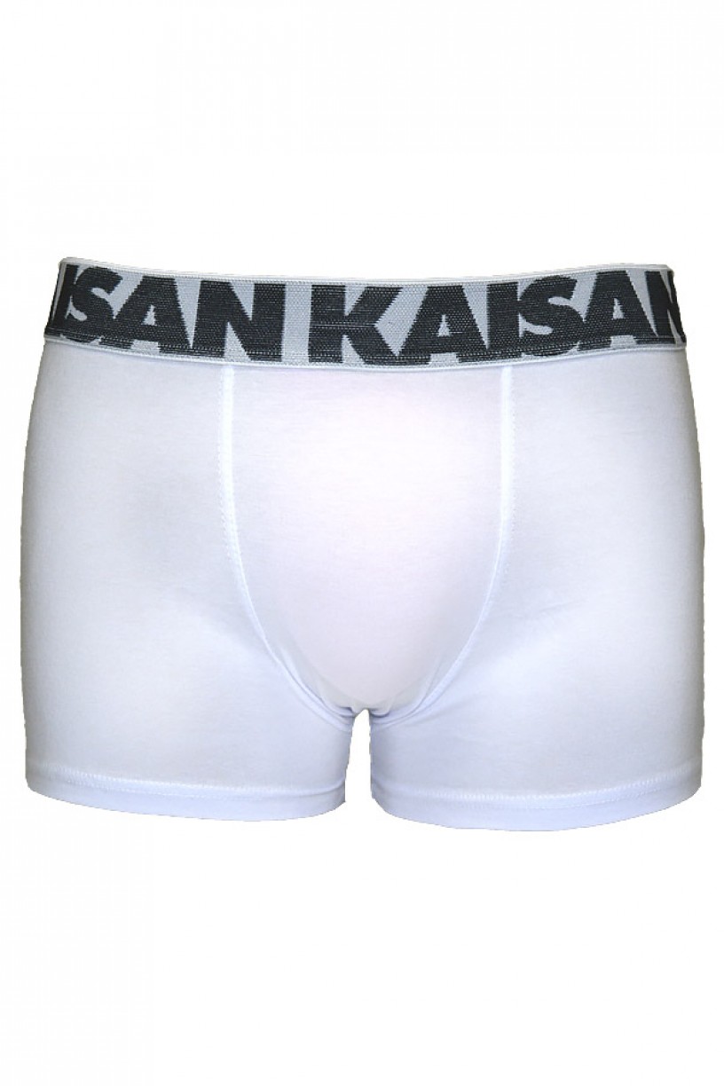 Kit com 4 Cuecas Boxer - Cotton 567 (AB)