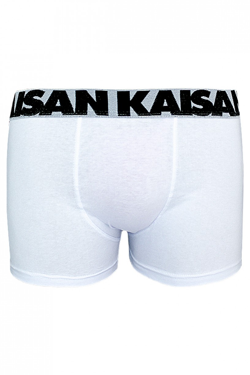 Kit com 3 Cuecas Boxer - Cotton 567 (AB) 