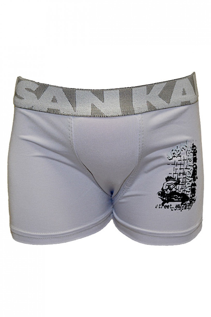 Kit com 5 Cuecas Boxer Silkada Infantil (498) - AB