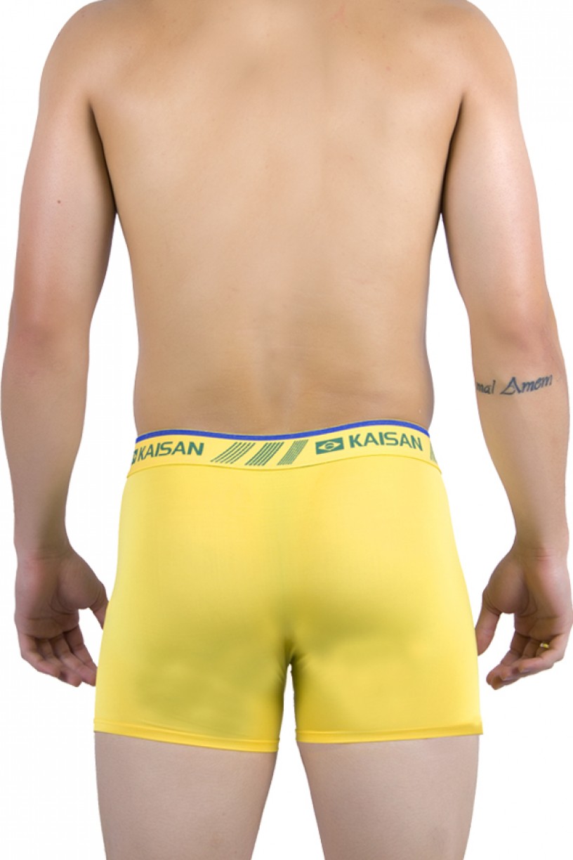 Cueca Boxer de Microfibra Brasil