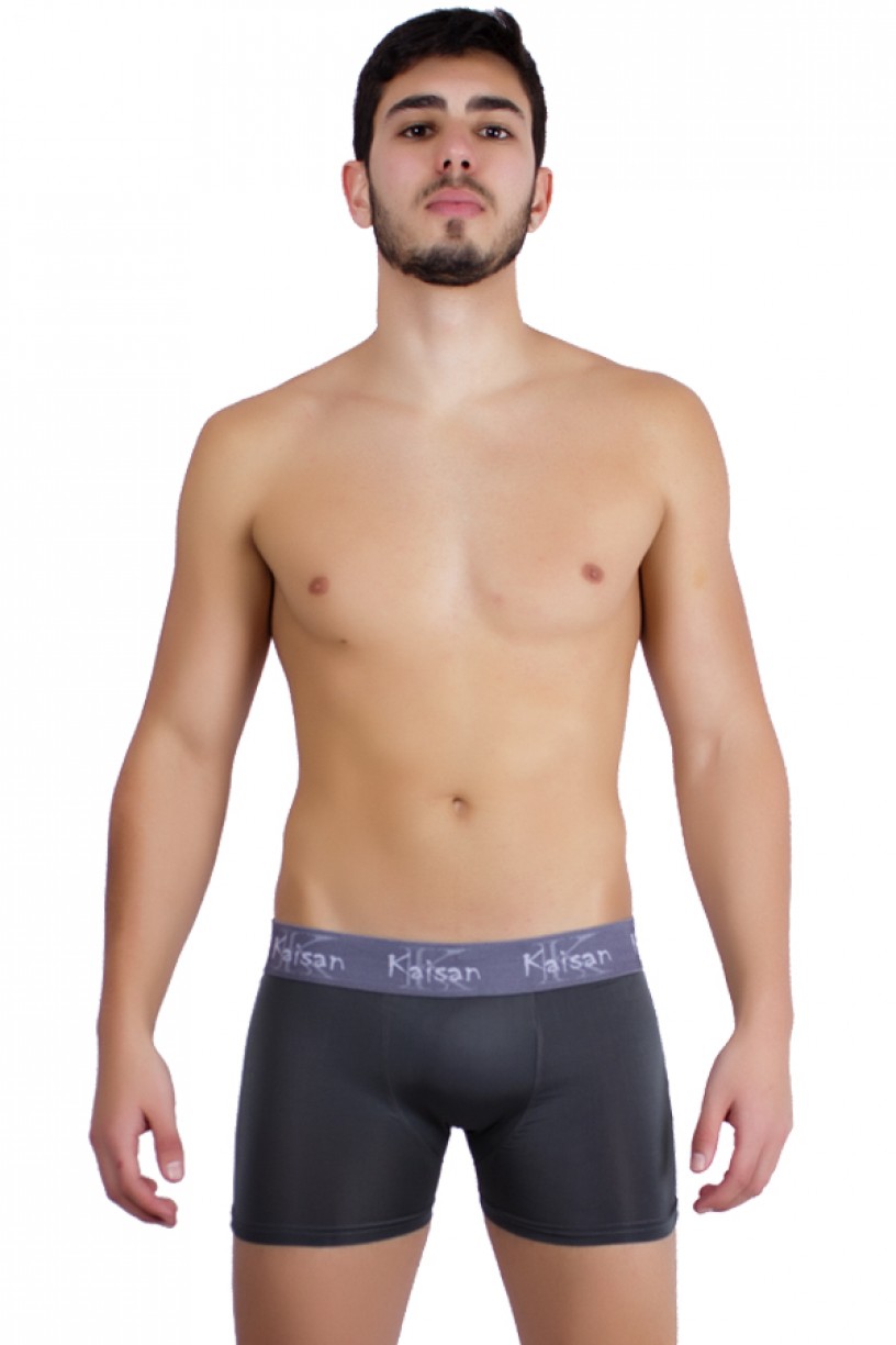 Cueca Boxer Microfibra Elástico Gross